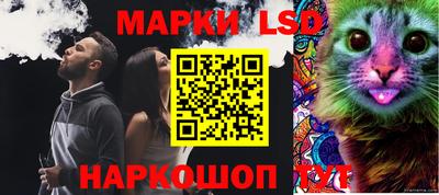 стаф Краснодар