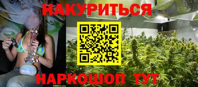 стаф Краснодар