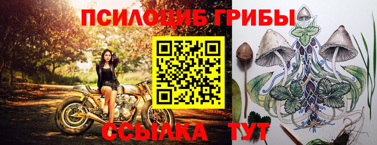 Псилоцибиновые грибы Magic Shrooms  Псилоцибиновые грибы Cubensis  Вход с VPN  Котлас 