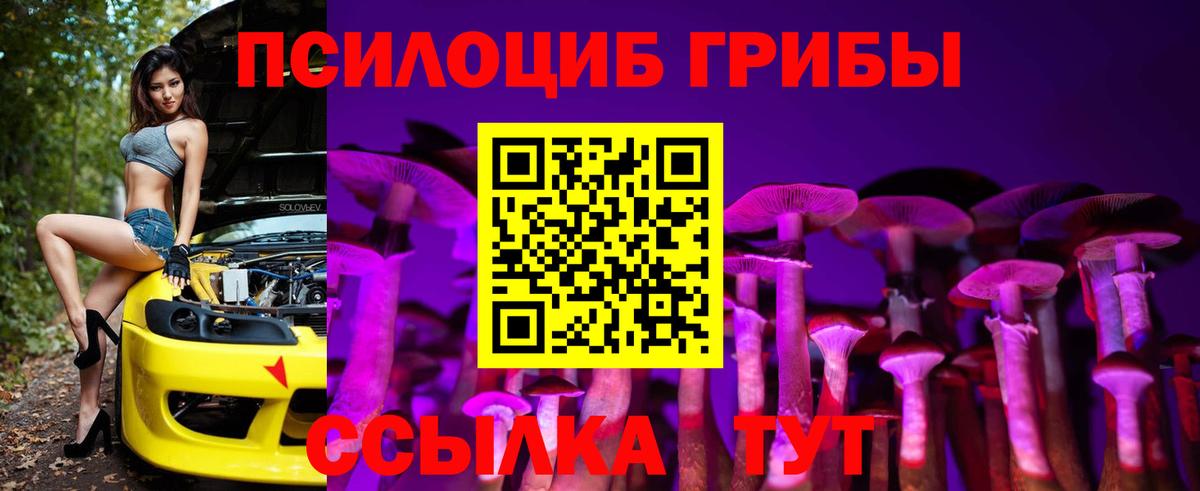 Галлюциногенные грибы мицелий Котлас